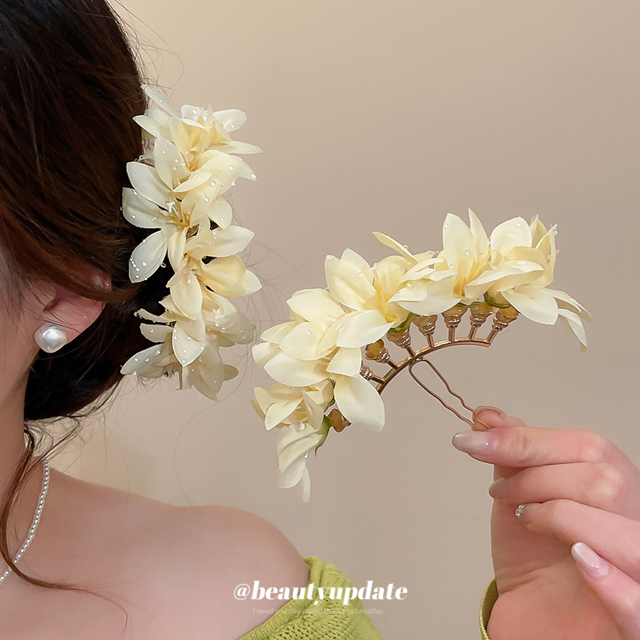 دبابيس شعر أنيقة ورائعة بتصميم - مراجعة Women Accessories Photos وسعره
