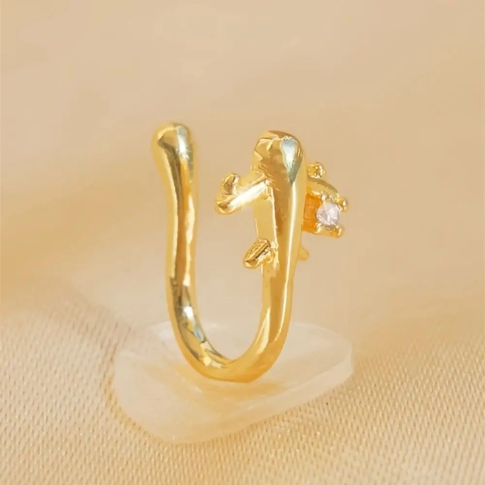 مشبك أنف بتصميم طائرة بدون ثقب - مراجعة Women Accessories Sale وسعره